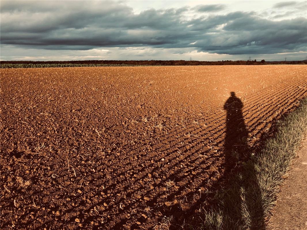 Herbst-Sonne mit Schatten: Hartmut Lübbert aus Nufringen steht damit alleine wei...