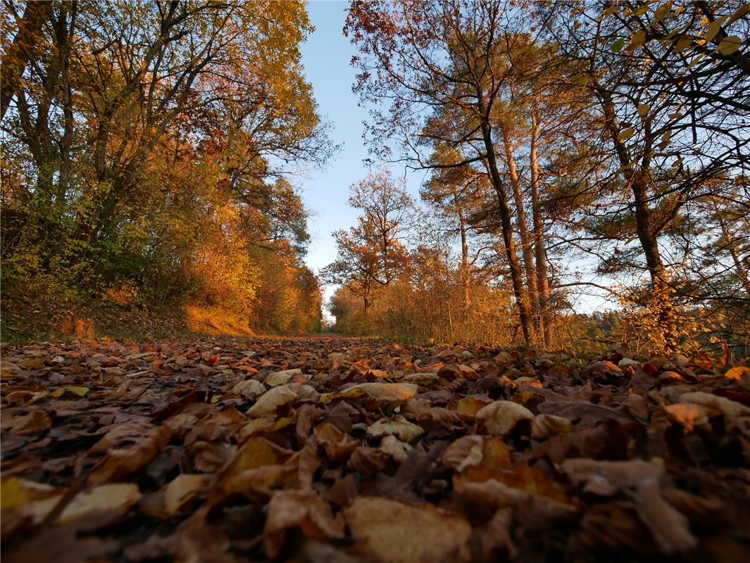 Herbst in Deckenpfronn - Guido Betz hat dieses Foto hochgeladen. 