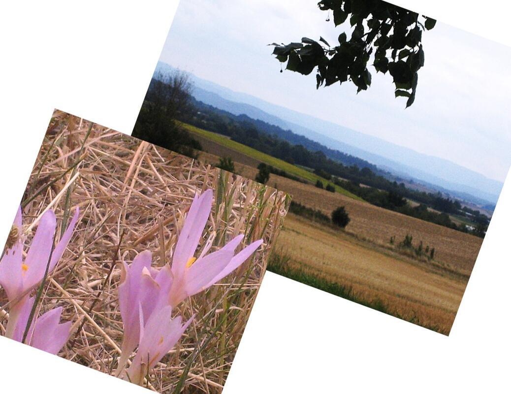 Herbstansicht 18. August.  Von Frank Winter aus Nebringen.
