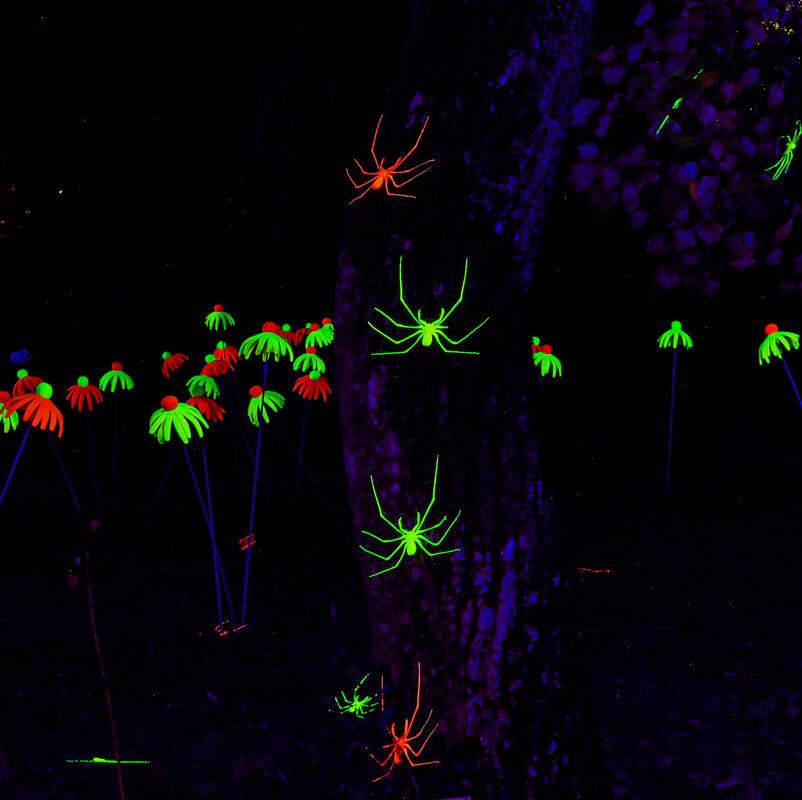 Herbstdeko in der Nacht ...  Von Natalie Politz aus Hildrizhausen.
