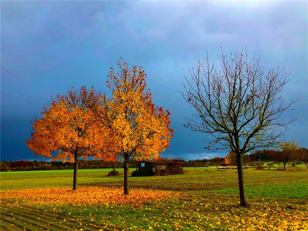 Herbstliche Lichtstimmung in Hailfingen, eingefangen von Eckbert Kaiser. 