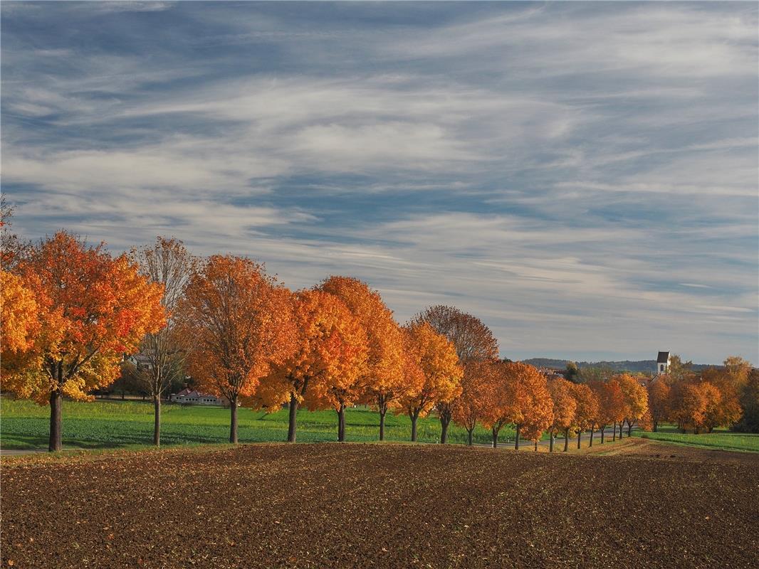 Herbstlicher Blick auf Hailfingen. Von Franz Weiß aus Rottenburg.