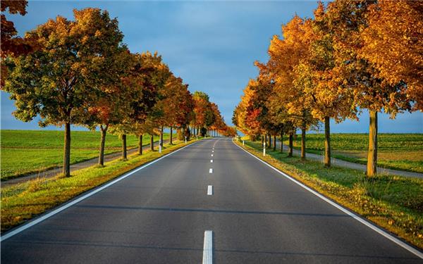 Herbststimmung zwischen Oberjesingen und Deckenpfronn (aufgenommen von Ruben Reinschmidt aus Jettingen)