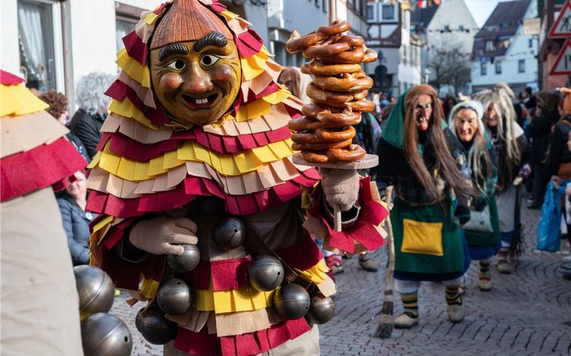 Herrenberg steht das Narrenkleid: Bilder vom Fasnetsumzug