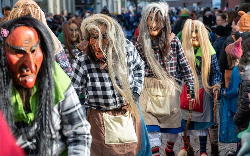 Herrenberg steht das Narrenkleid: Bilder vom Fasnetsumzug