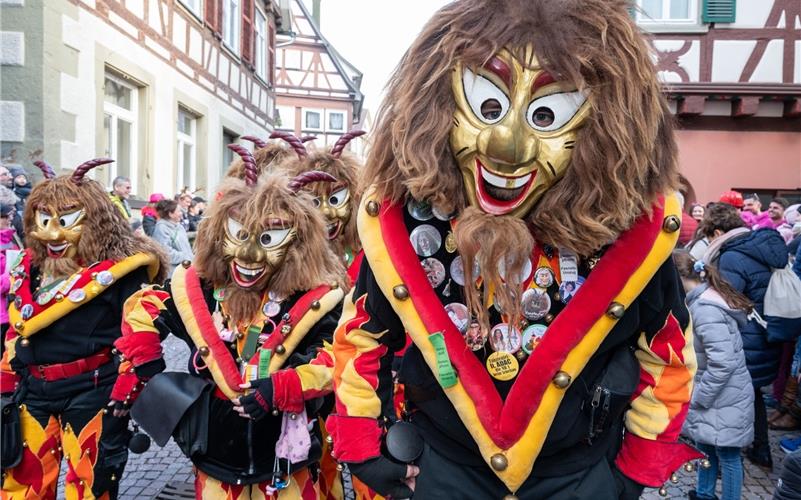 Herrenberg steht das Narrenkleid: Bilder vom Fasnetsumzug