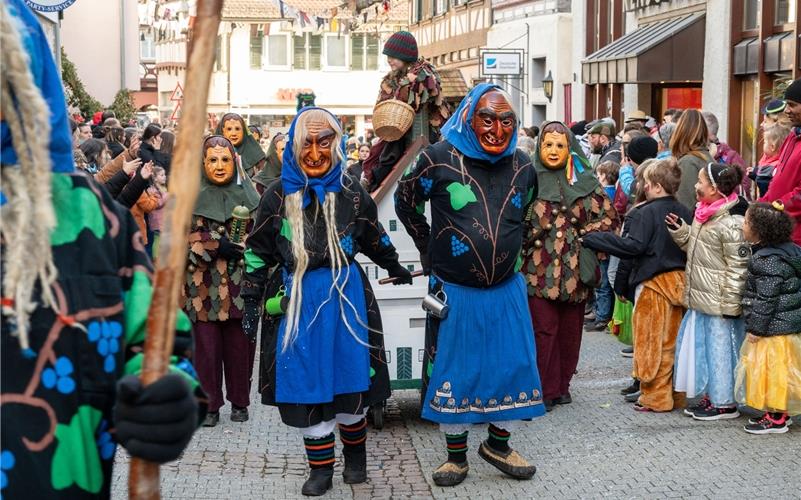 Herrenberg steht das Narrenkleid: Bilder vom Fasnetsumzug