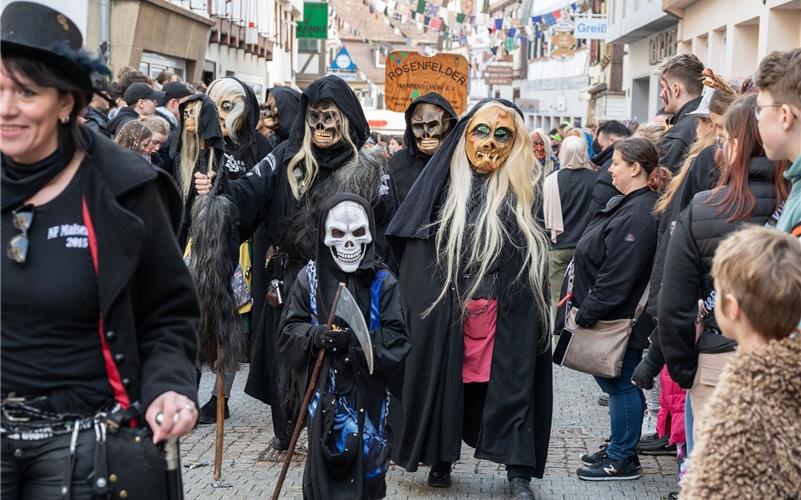 Herrenberg steht das Narrenkleid: Bilder vom Fasnetsumzug