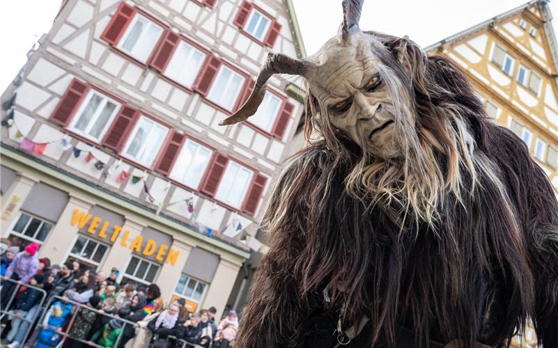 Herrenberg steht das Narrenkleid: Bilder vom Fasnetsumzug