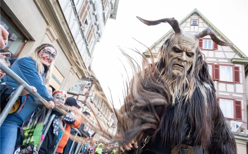 Herrenberg steht das Narrenkleid: Bilder vom Fasnetsumzug
