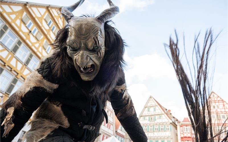 Herrenberg steht das Narrenkleid: Bilder vom Fasnetsumzug