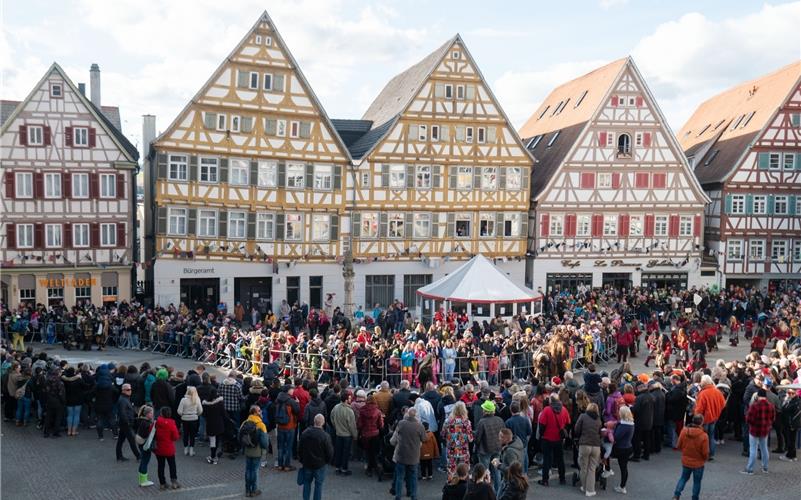 Herrenberg steht das Narrenkleid: Bilder vom Fasnetsumzug