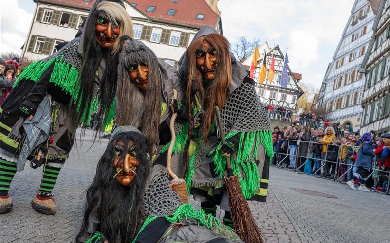 Herrenberg steht das Narrenkleid: Bilder vom Fasnetsumzug