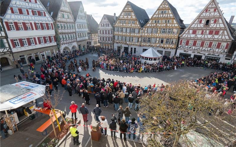 Herrenberg steht das Narrenkleid: Bilder vom Fasnetsumzug