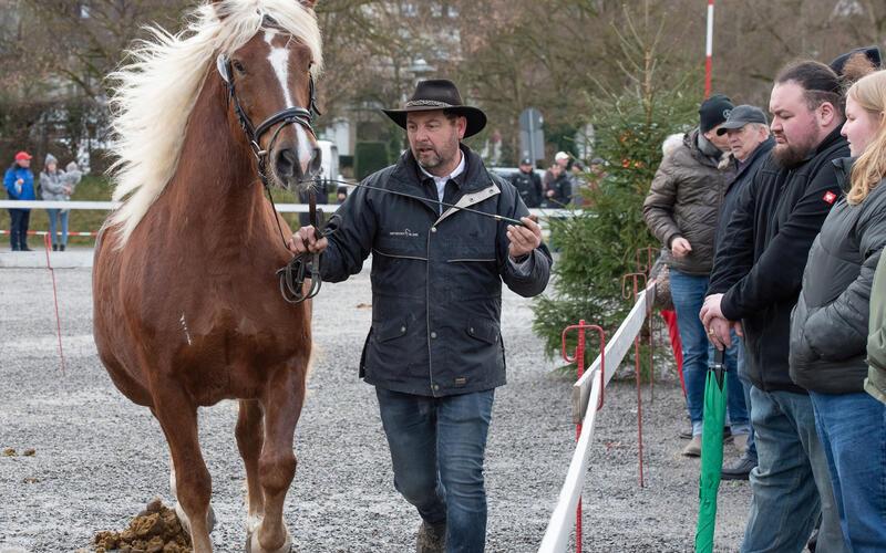 Bilder vom Pferdemarkt und Fasnetstreiben in Herrenberg