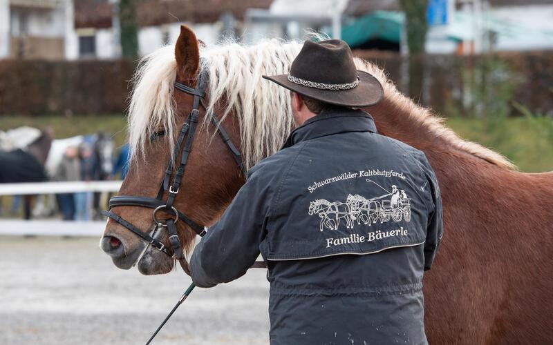 Bilder vom Pferdemarkt und Fasnetstreiben in Herrenberg