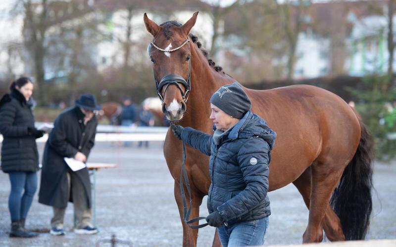 Bilder vom Pferdemarkt und Fasnetstreiben in Herrenberg