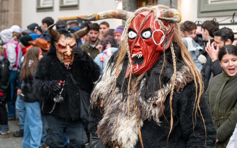 Bilder vom Pferdemarkt und Fasnetstreiben in Herrenberg