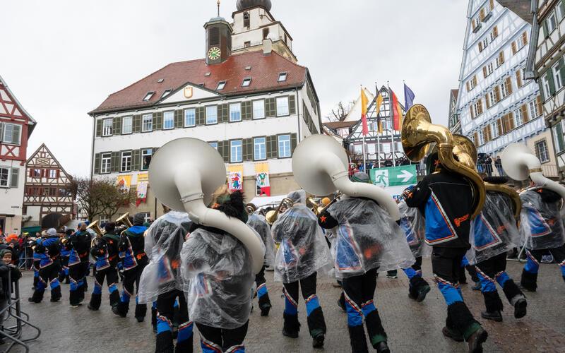 Bilder vom Pferdemarkt und Fasnetstreiben in Herrenberg