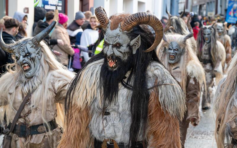 Bilder vom Pferdemarkt und Fasnetstreiben in Herrenberg