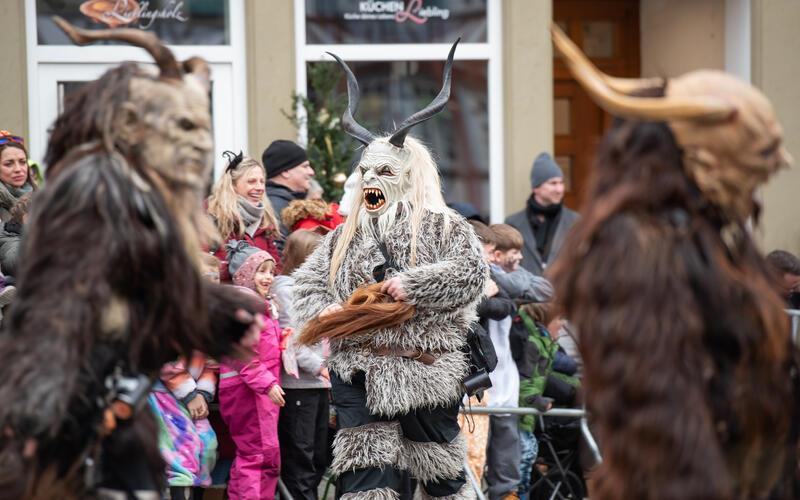 Bilder vom Pferdemarkt und Fasnetstreiben in Herrenberg