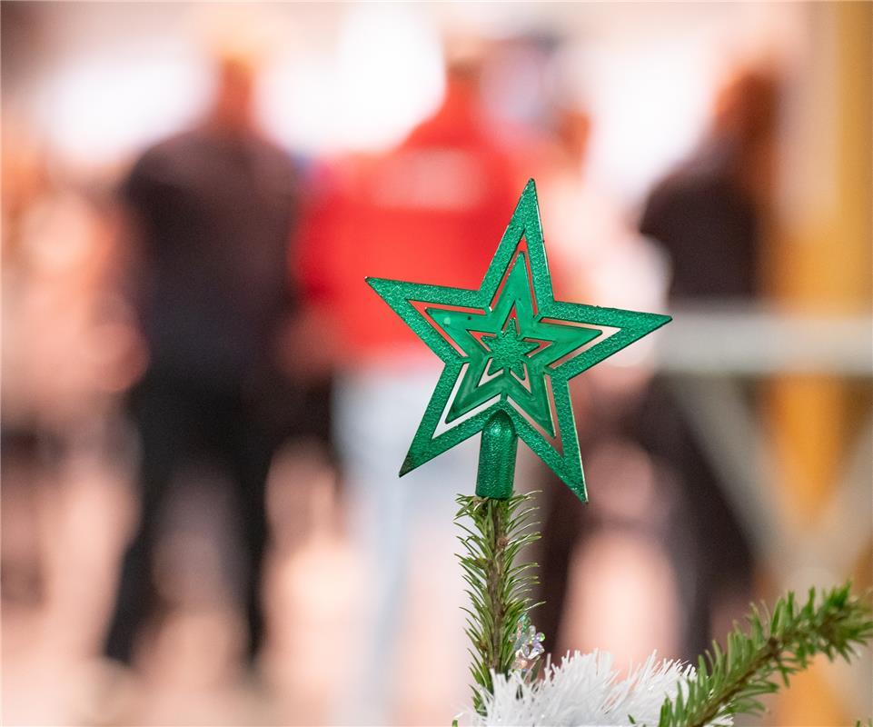 Herrenberg, Längenholzhalle, Gäubote-Cup, Hallenfußballturnier,  GB-Foto: Vecsey