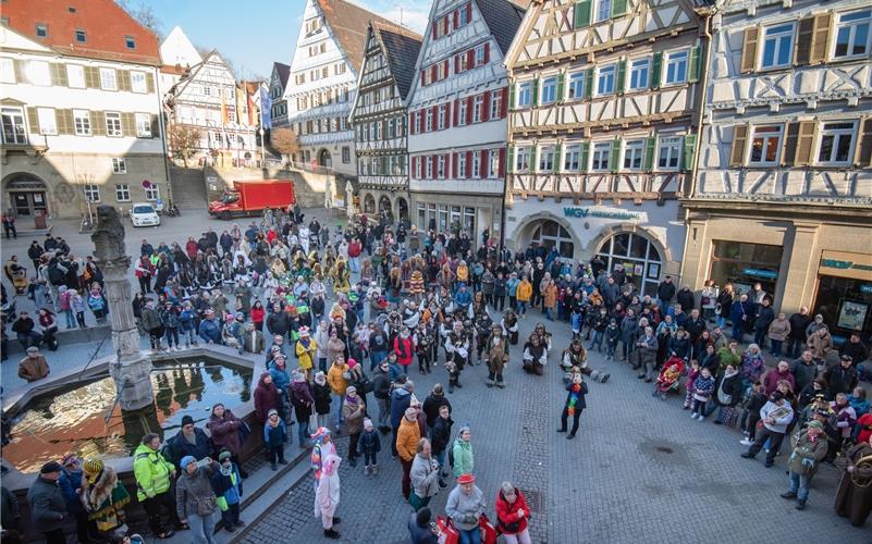 Rathausstürme: Bilder aus Herrenberg, Bondorf und Gäufelden