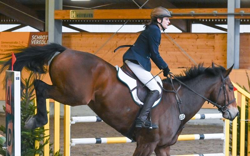 RFV Herrenberg sagt Neujahrsspringen ab Herrenberg, Reitanlage, Reitturnier, Neujahrsspringen, Julia Müller (Sindlingen) auf Tullibards PinUp, GB-Foto: Vecsey