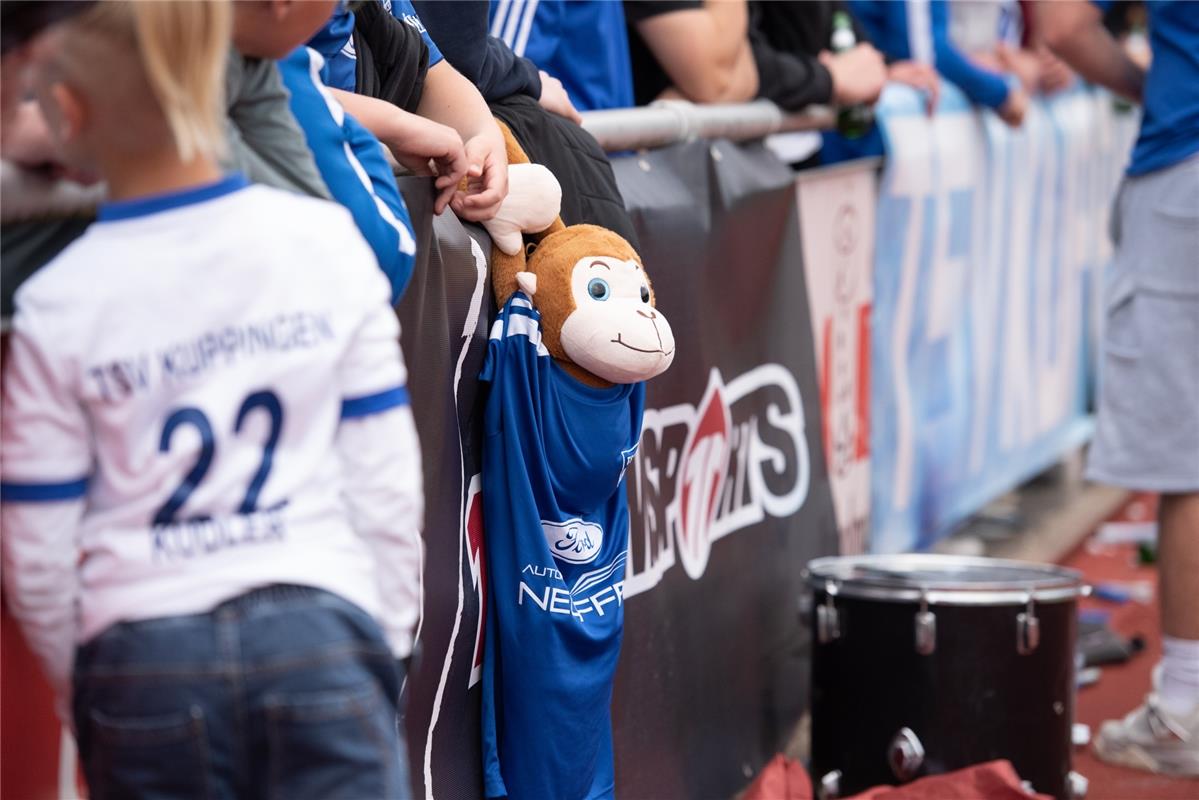 Herrenberg, Stadion, Aktiven-Pokalfinale, Bezirkspokal, TSV Kuppingen (blau) - T...