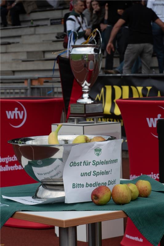 Herrenberg, Stadion, Aktiven-Pokalfinale, Bezirkspokal, TSV Kuppingen (blau) - T...