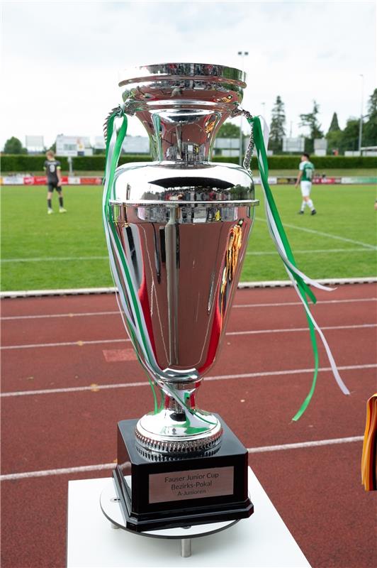 Herrenberg, Stadion, Fußball, Jugendpokalfinale, A-Jugend, VfL Herrenberg (grün)...