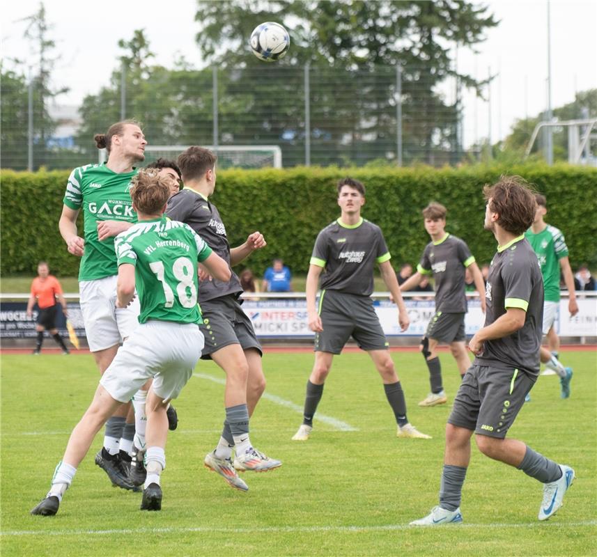 Herrenberg, Stadion, Fußball, Jugendpokalfinale, A-Jugend, VfL Herrenberg (grün)...