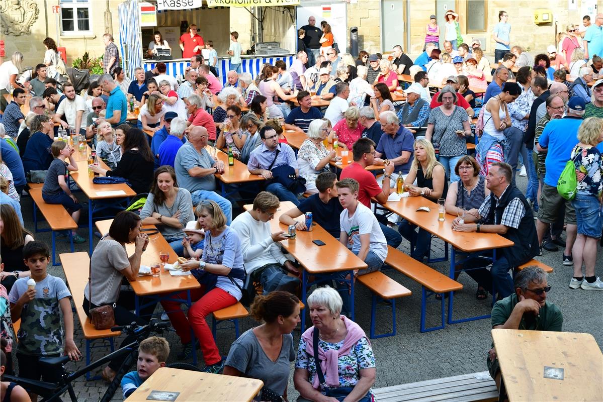 Herrenberg Stadtfest / Foto: Holom