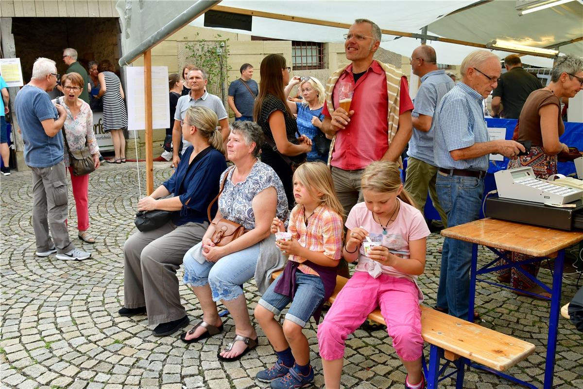 Herrenberg Stadtfest / Foto: Holom