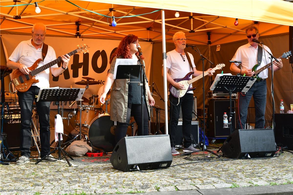Herrenberg Stadtfest / Foto: Holom
