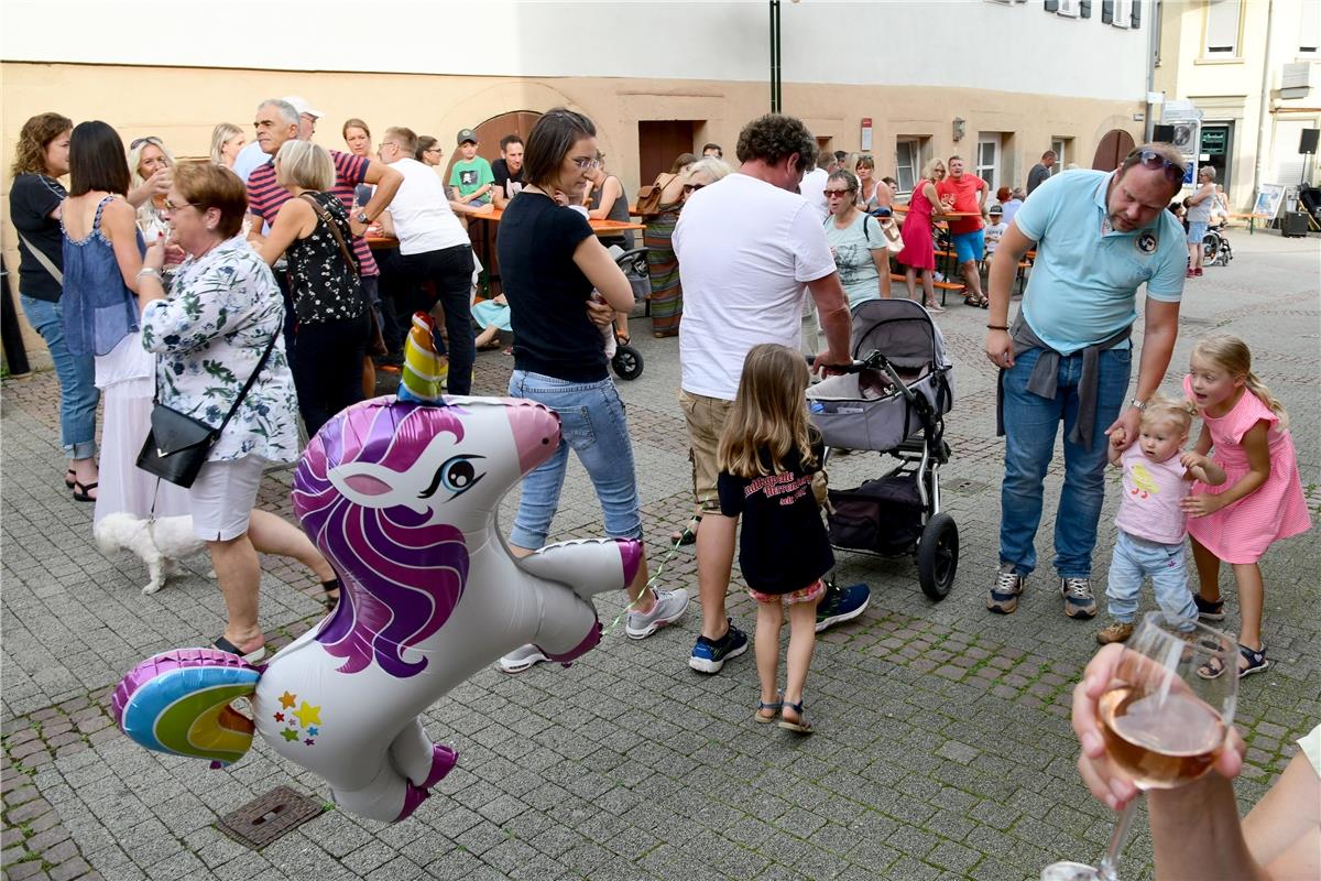 Herrenberg Stadtfest / Foto: Holom