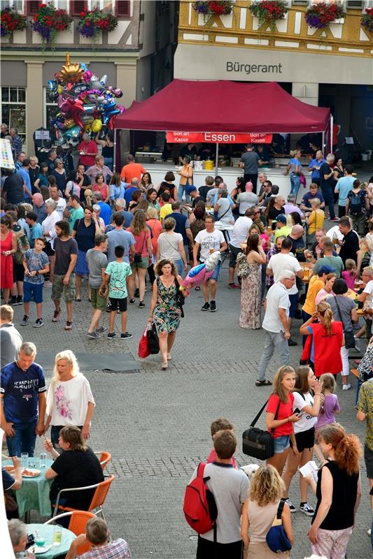 Herrenberg Stadtfest / Foto: Holom