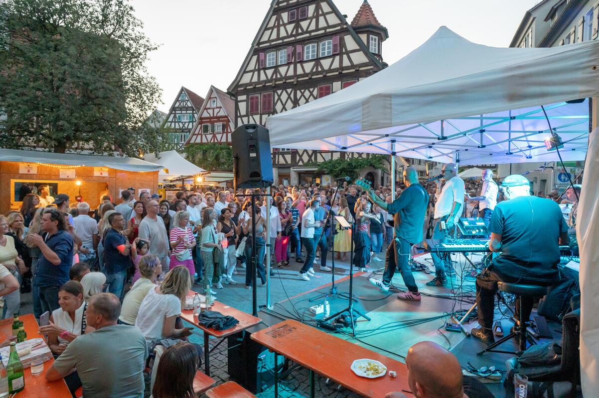 Herrenberg, Stadtfest, GB-Foto: Vecsey