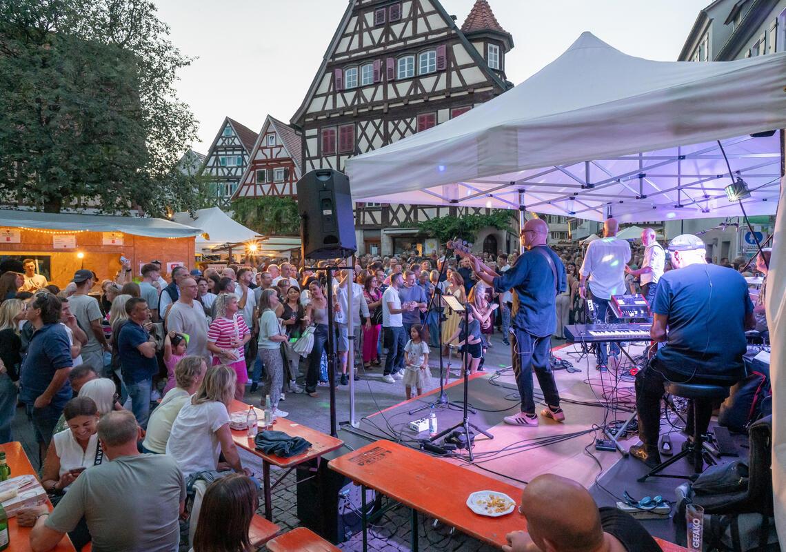 Herrenberg, Stadtfest, GB-Foto: Vecsey