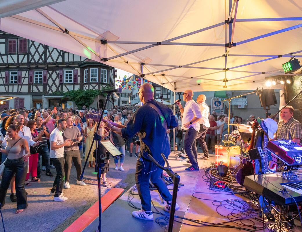 Herrenberg, Stadtfest, GB-Foto: Vecsey