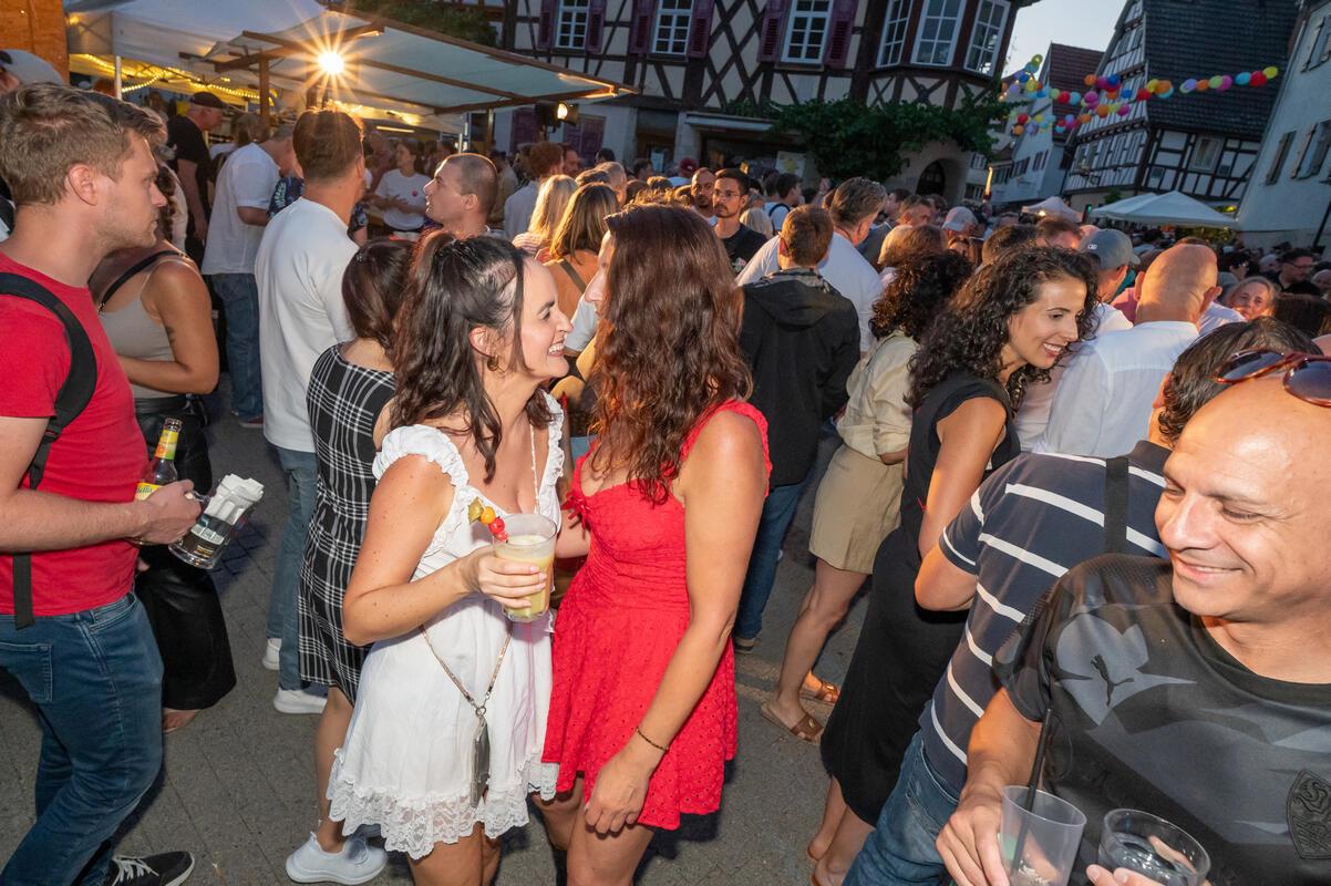 Herrenberg, Stadtfest, GB-Foto: Vecsey