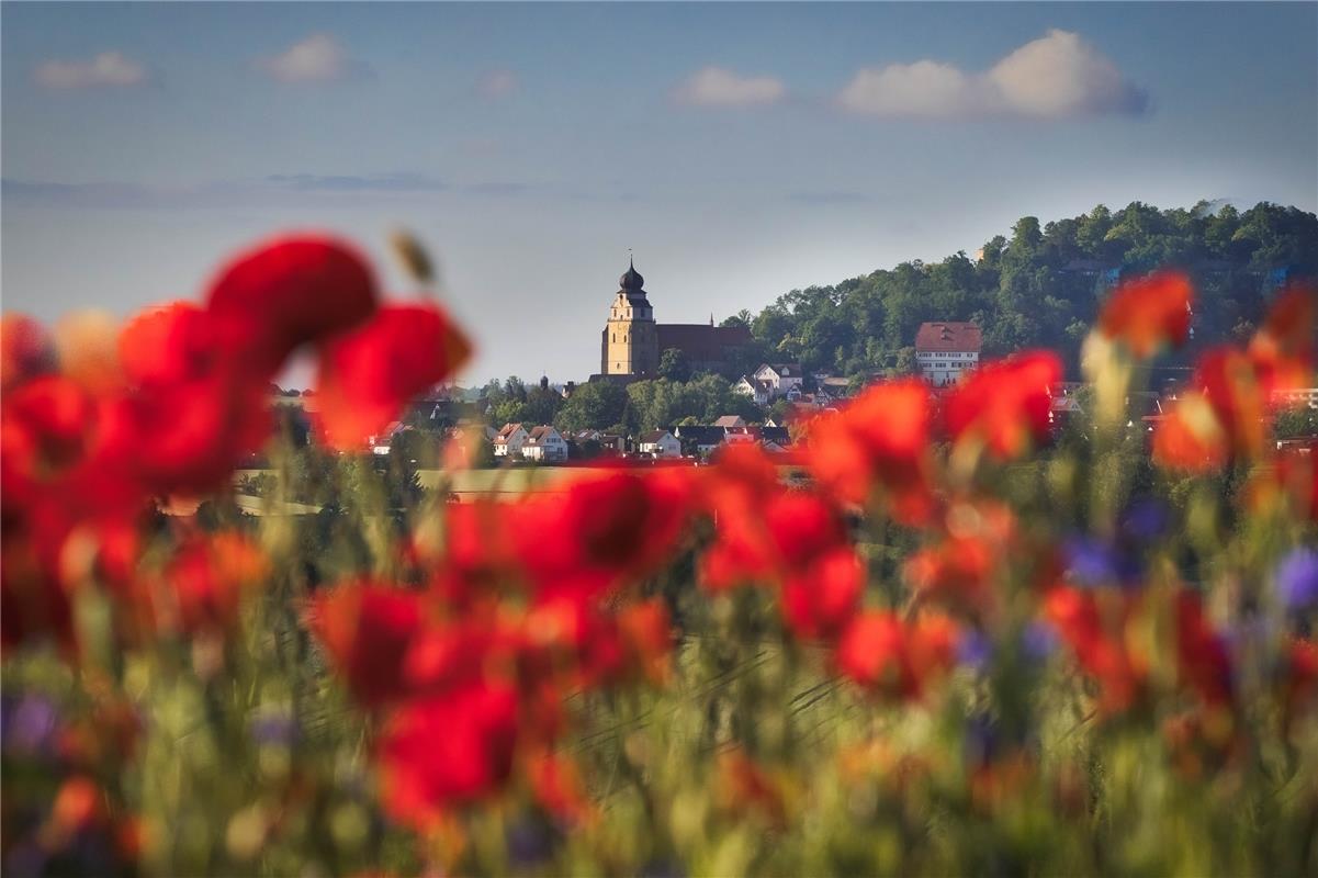 Herrenberg im Mohnrausch hat die Sindlingerin Sonja Sayer von Gültsteiner Gemark...