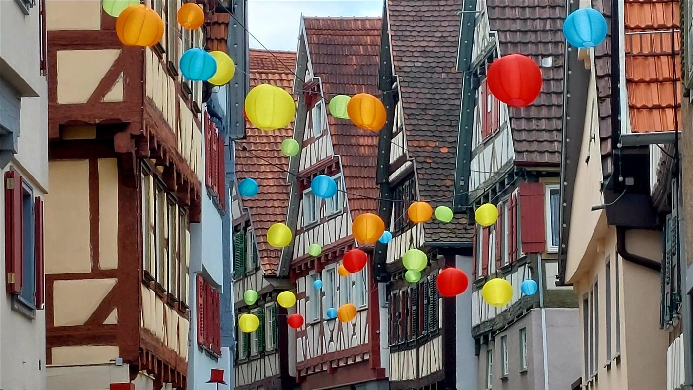 Herrenberg im Sommergewand - wie wundervoll!  Von Martin Allgeier aus Herrenberg...