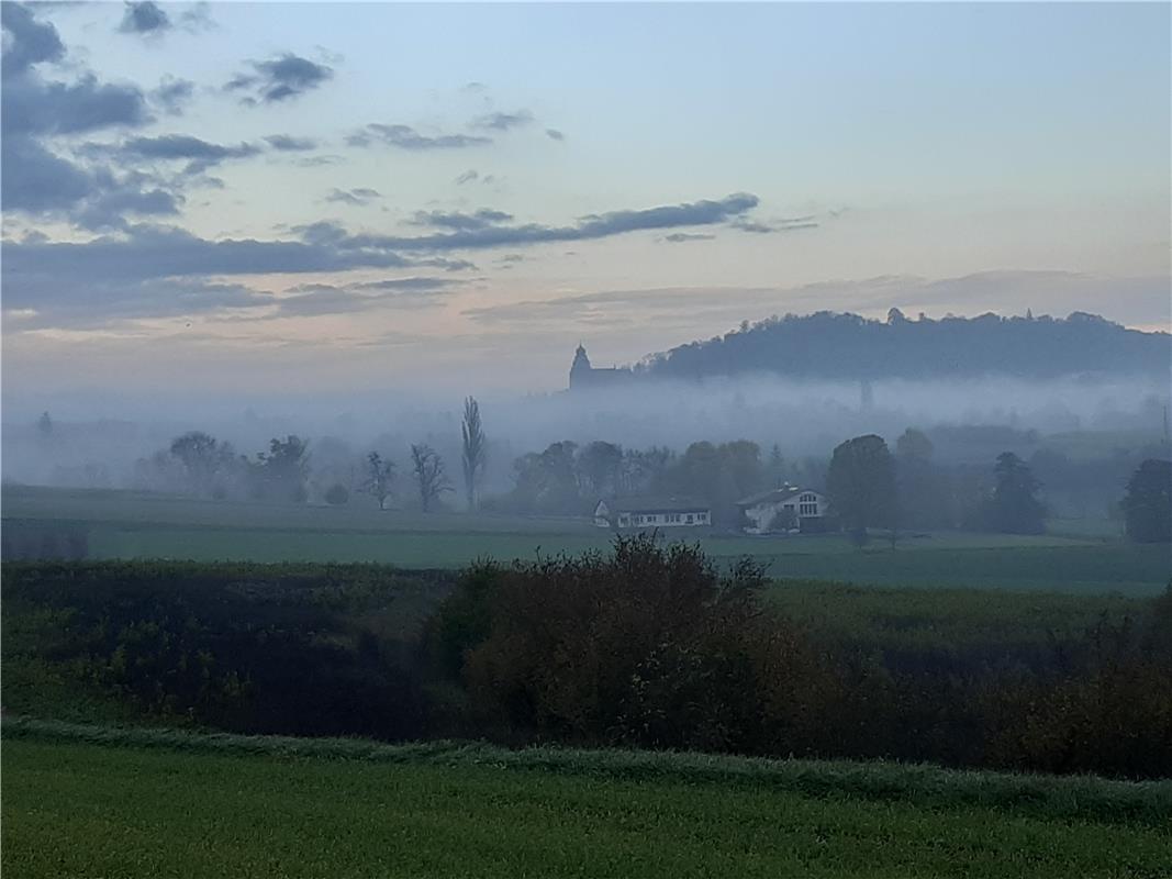 Herrenberg morgens um 8 Uhr. Von Bärbel Deutsch aus Herrenberg.