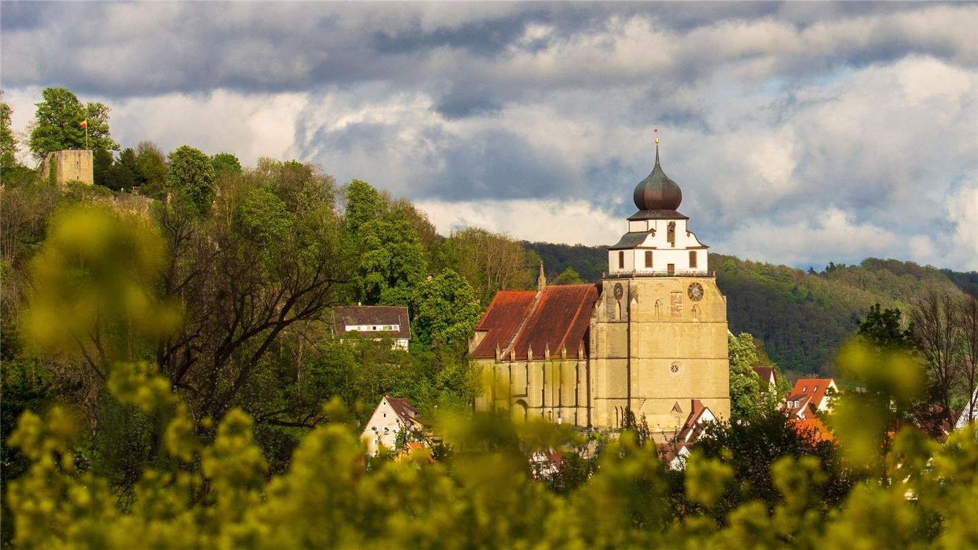 Herrenbergs Stiftskirche und Pulverturm, im Vordergrund Raps. Eingereicht von Ga...