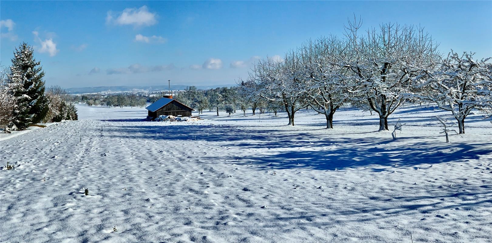 Herrlich winterlich findet es Minja Rollinson in Öschelbronn.