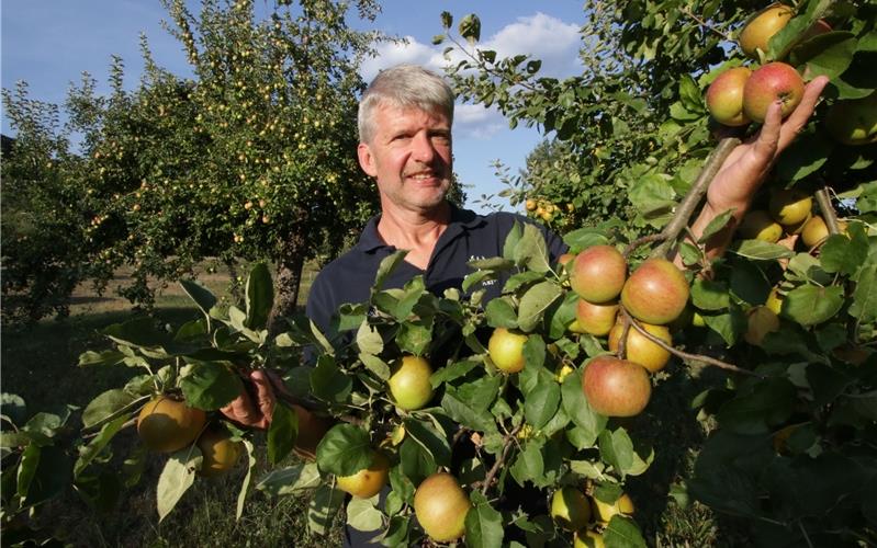 „Hervorragende Lageräpfel“: Achim Däuble mit seiner alten Apfelsorte Boskop GB-Foto: Bäuerle