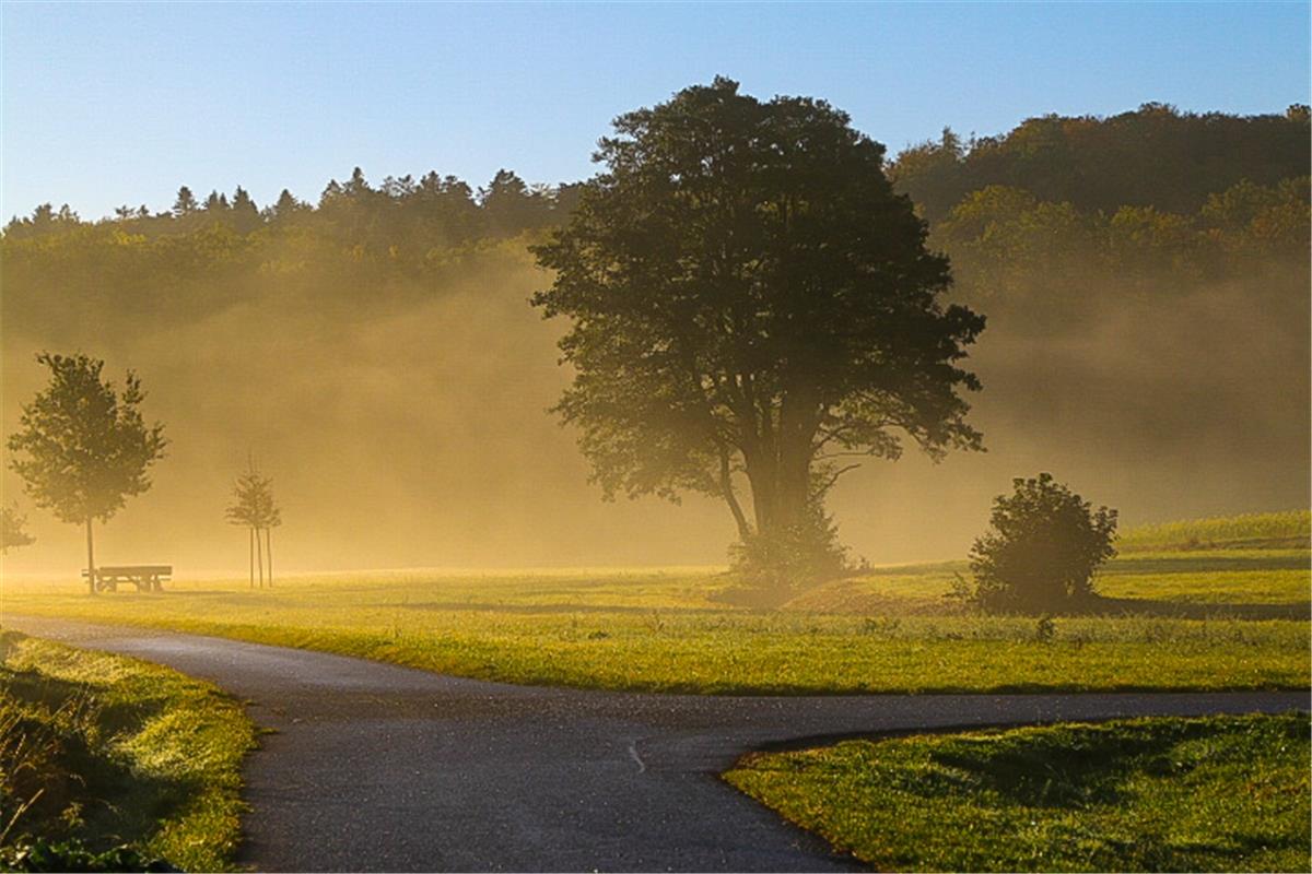 Heute Morgen in Hildrizhausen. Von Natalie Politz aus Hildrizhausen.