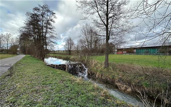 Erster Biber ist im Kreis sesshaft geworden