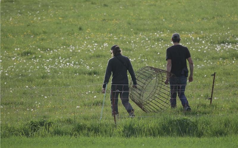 Hier werden Metallkäfige über die Gelege des Kiebitzes ausgebracht, damit der Fuchs die Eier nicht fressen kann. GB-Foto: Bäuerle